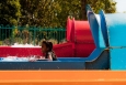 waterslide-tube